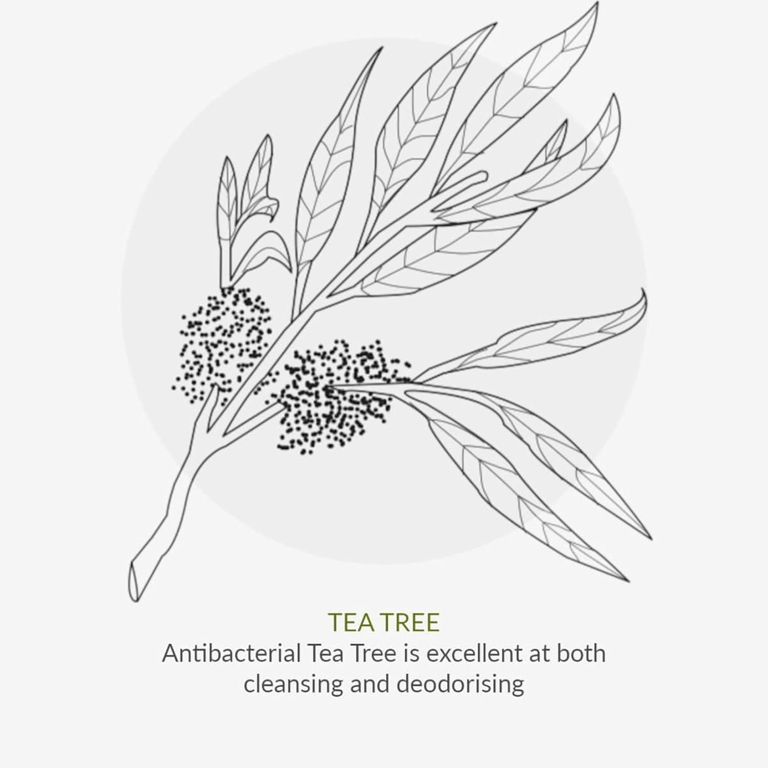 Green People Oy! Foaming Clear Skin Face Wash 100ml | Natural & Organic Teenage Facial Wash | Willow Bark & Tea Tree | Skin Care for Pre-Teens & Teens with Spots & Blemishes | Cruelty-Free & Vegan - Image 3